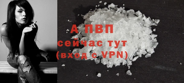 стафф Богородицк