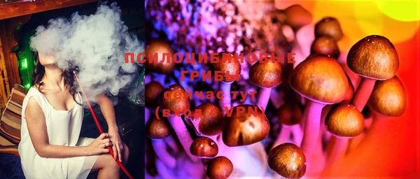 apvp Белоозёрский