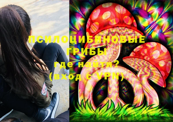 стафф Богородицк