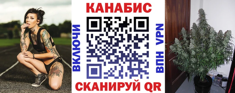 Марихуана OG Kush  блэк спрут онион  Венёв  купить  сайты 